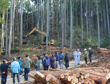 山での伐採見学