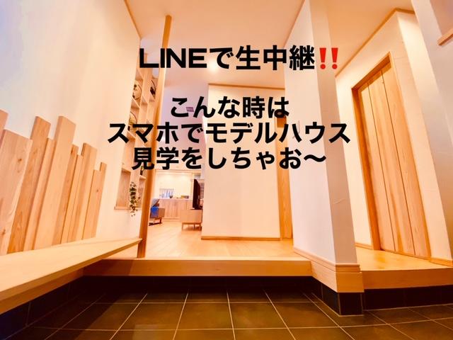 lineで生中継.jpeg