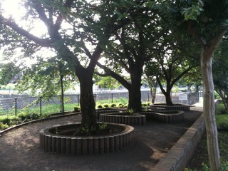 20110712a.JPG