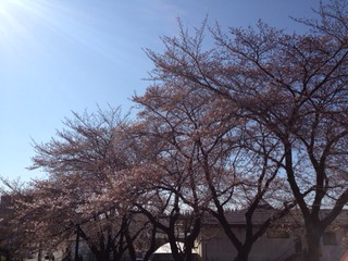 20120407a.JPG