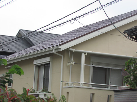 resize0050.jpg