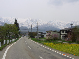 resize0435.jpg