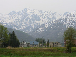 resize0436.jpg
