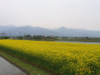 resize0439.jpg