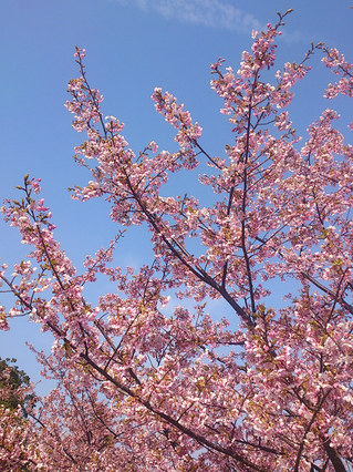 resize0931.jpg
