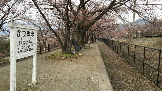 resize1456.jpg