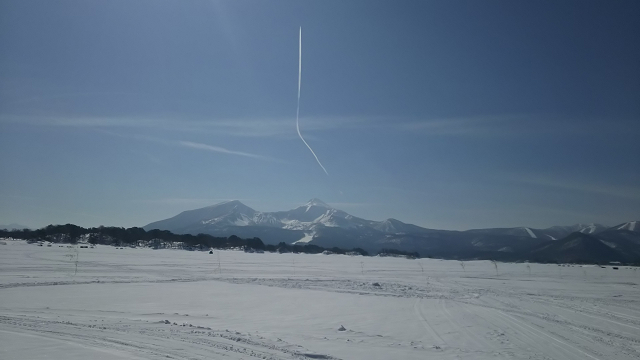resize1590.jpg