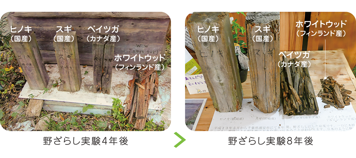 国産材と海外材の野ざらし比較イメージ｜国産無垢材の耐久性