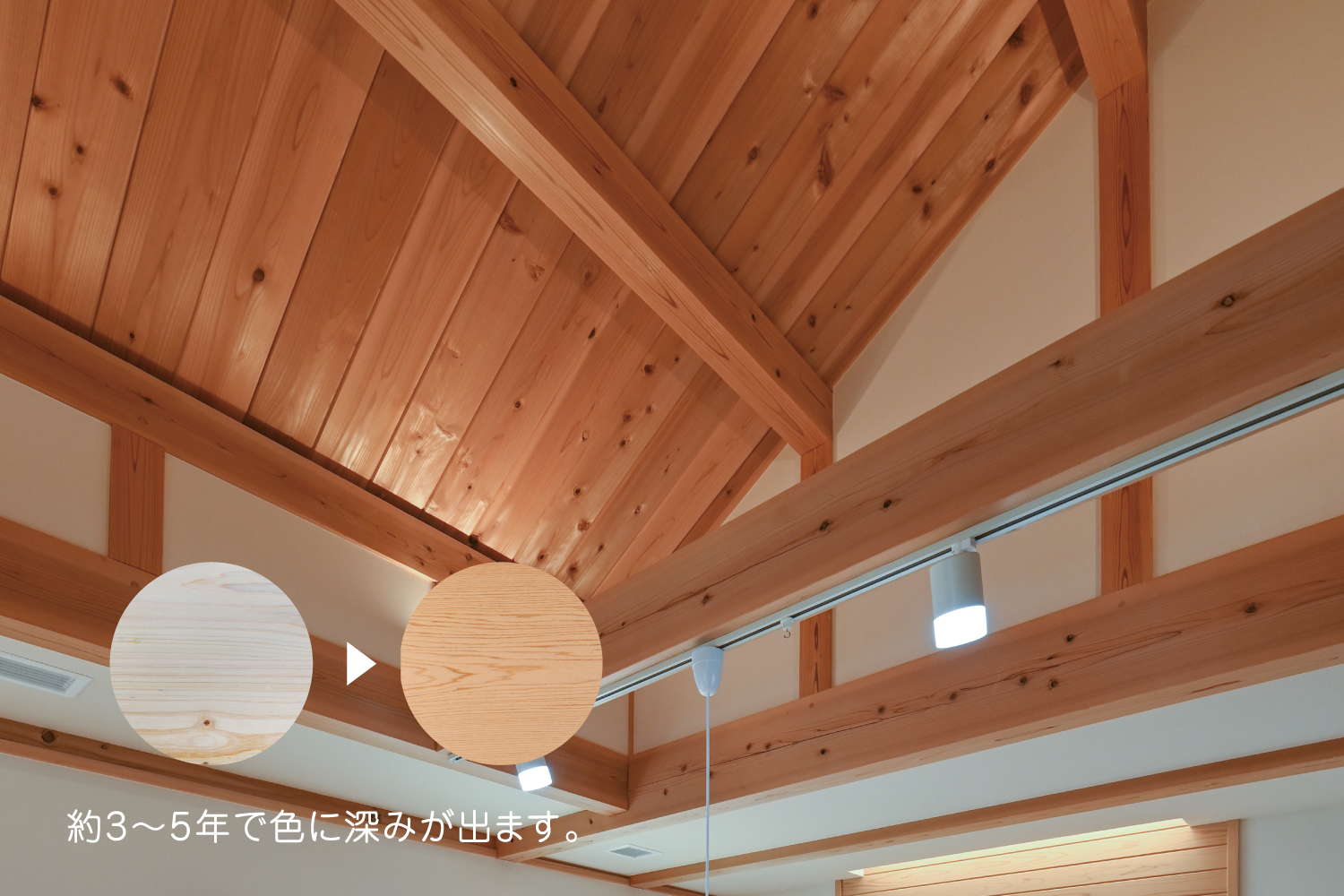 無垢材の経年変化の見本｜使い込むほど深まる色と艶