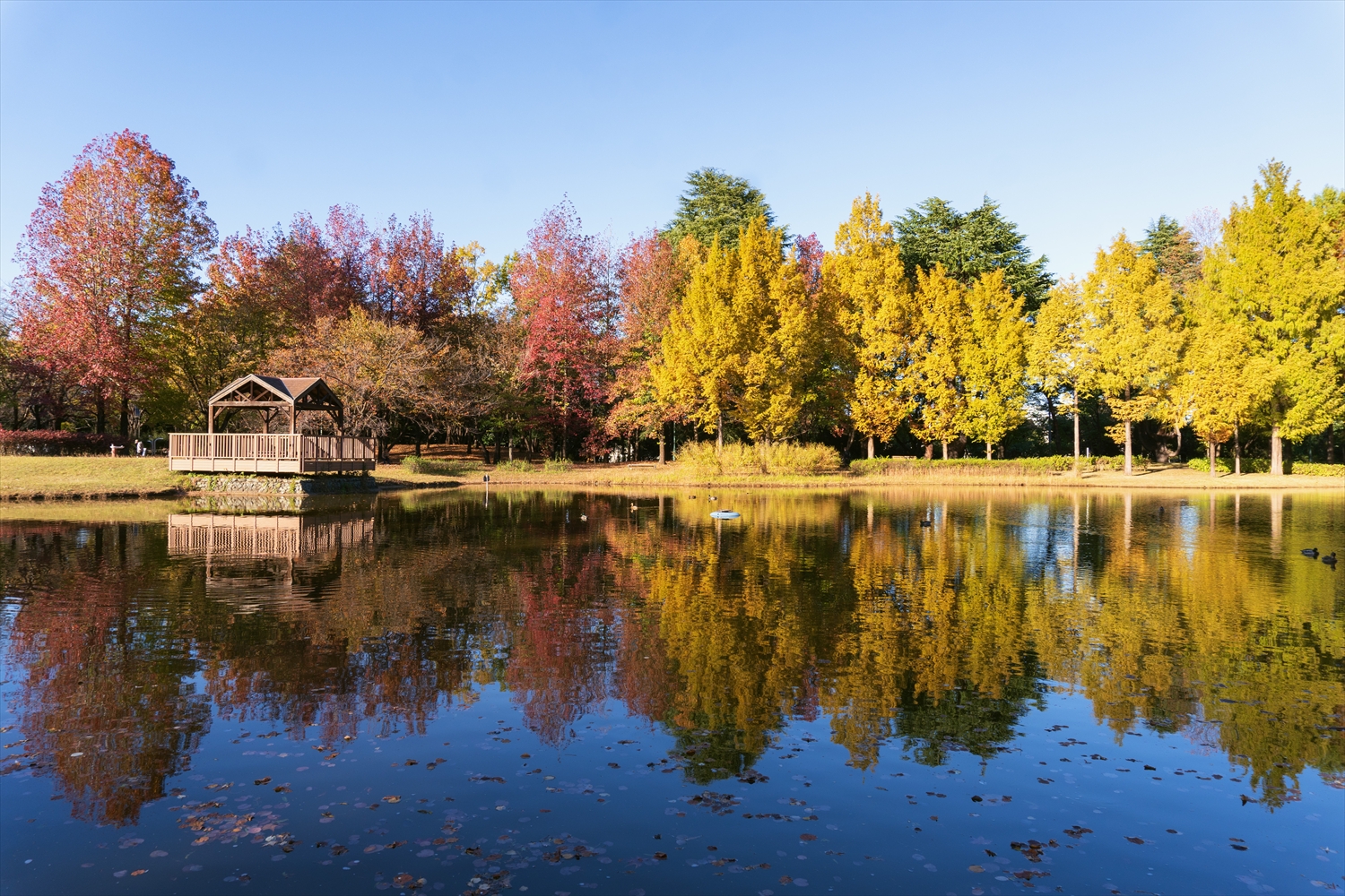 彩の森入間公園