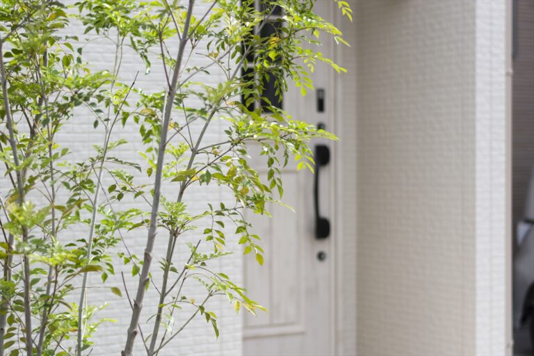 高い天井と広いお庭でのびのび暮らす家｜所沢市元町 S様邸 SAN+注文住宅