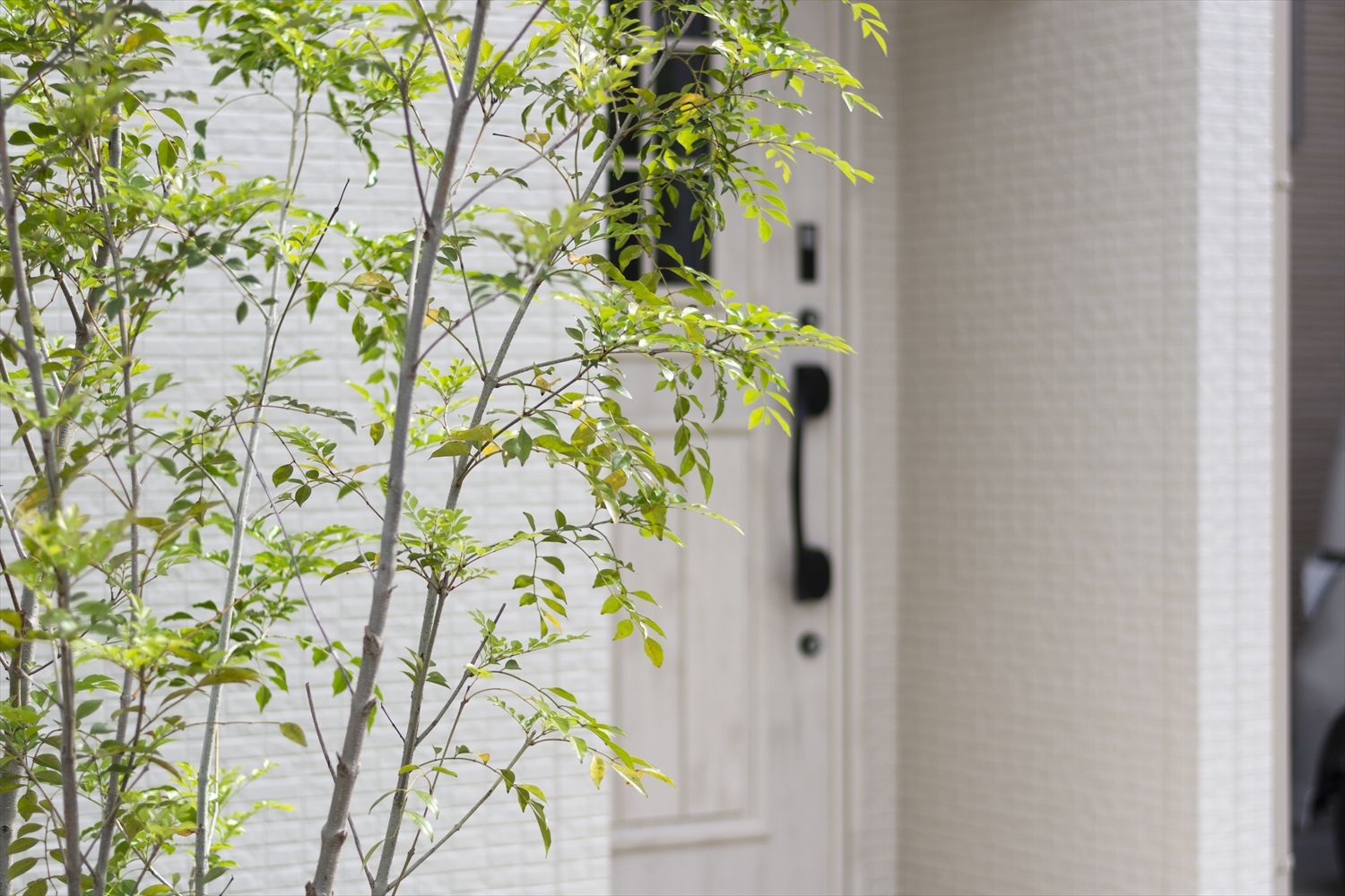 所沢市元町S様邸 玄関まわりとシンボルツリーの外観