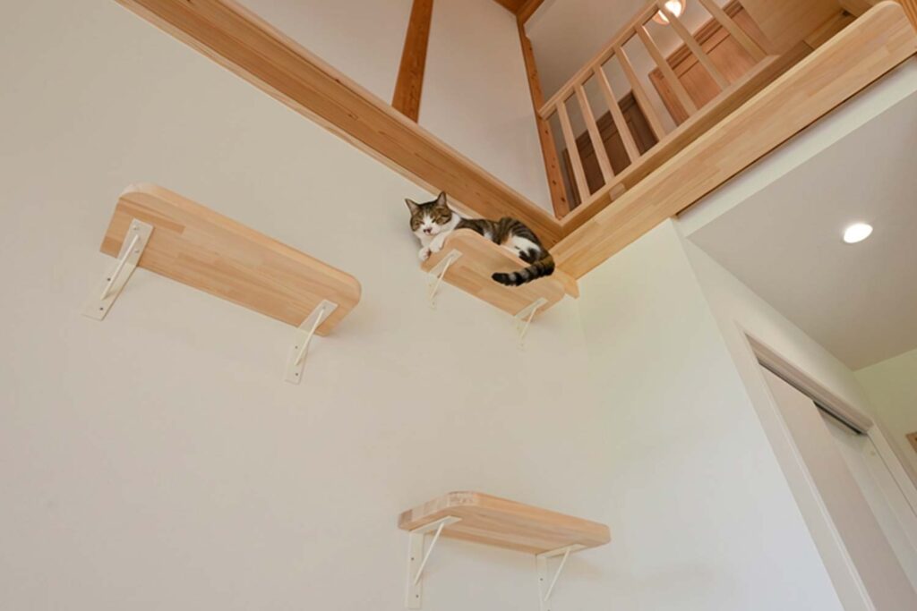 猫の居場所をつくったリビングの一角｜家族の目が届く距離感
