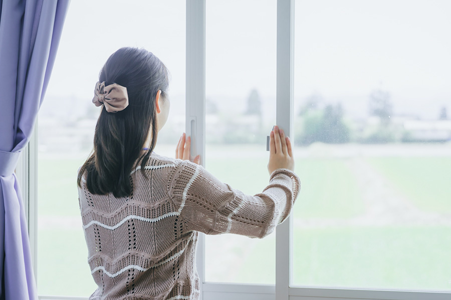 内窓（二重窓）のある窓まわりのアップ（遮音・断熱リフォームのイメージ）