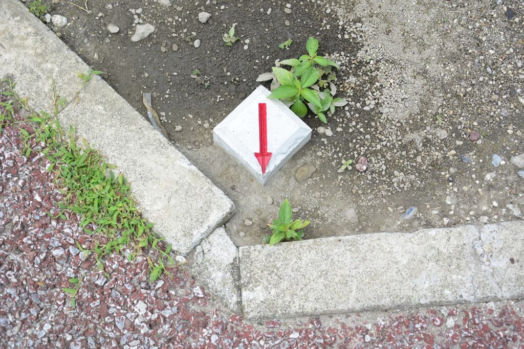 親の土地に注文住宅を建てる前に前面道路と境界杭を確認する様子