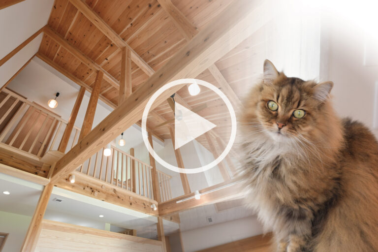 猫と暮らす1.5階平屋の家づくり｜WELL+オーナーズインタビュー